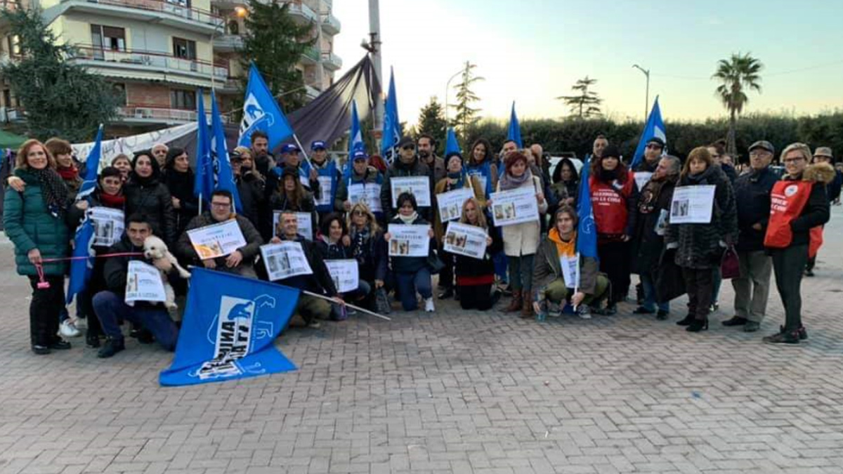 sit in lucera protesta gatto