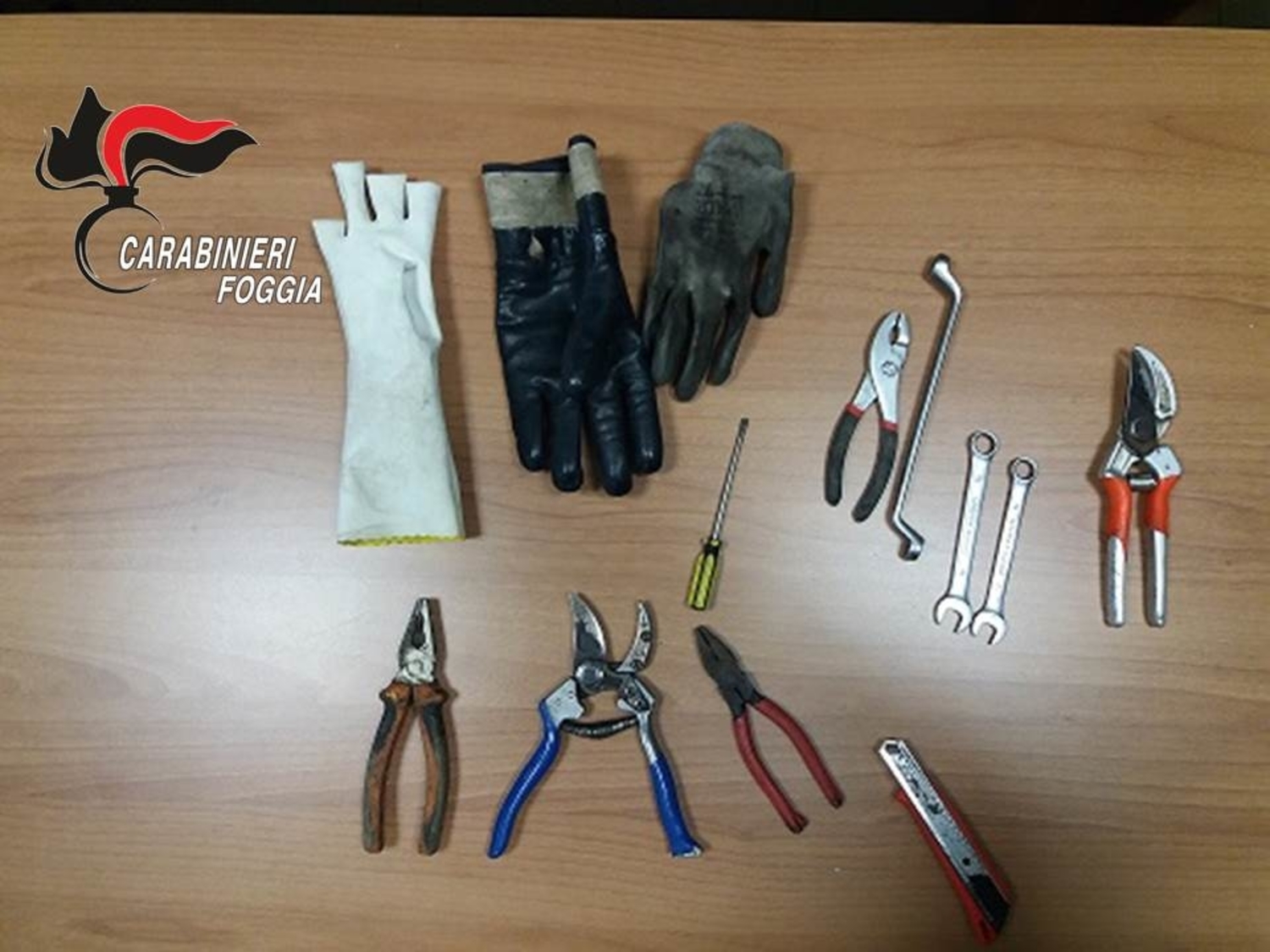 cerignola-rubano-cavi-rame