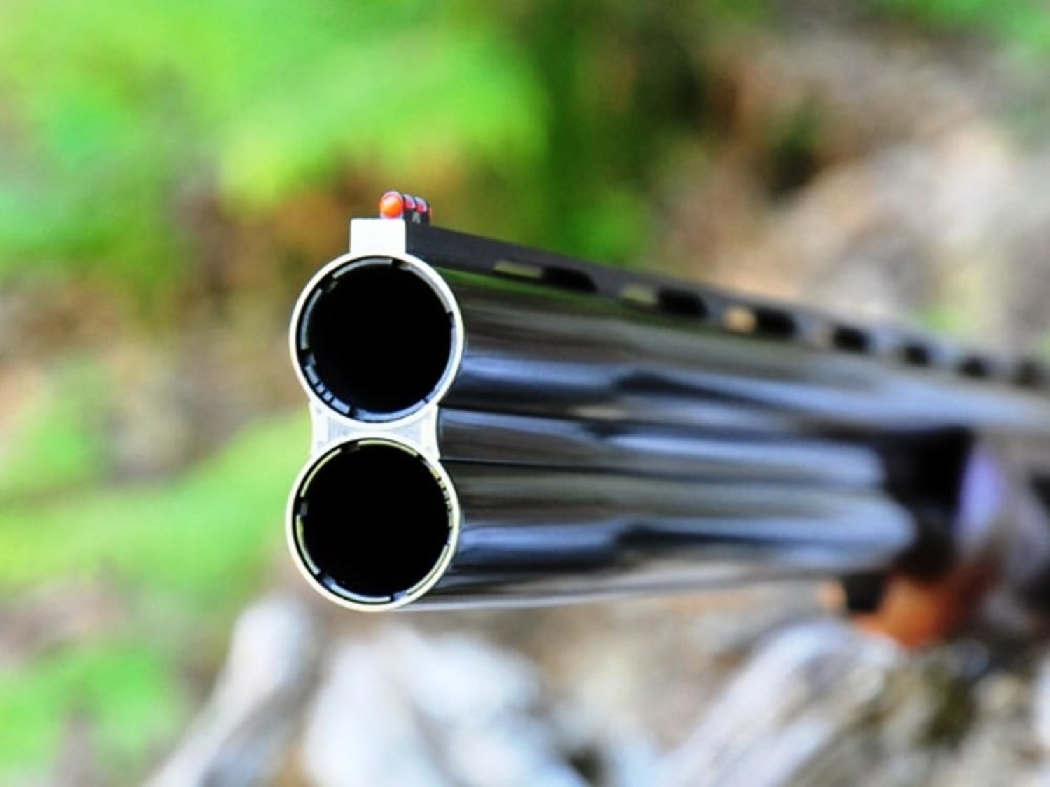 foggia-agricoltore-uccide-cane