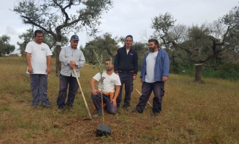 foggia-paolo-clochard
