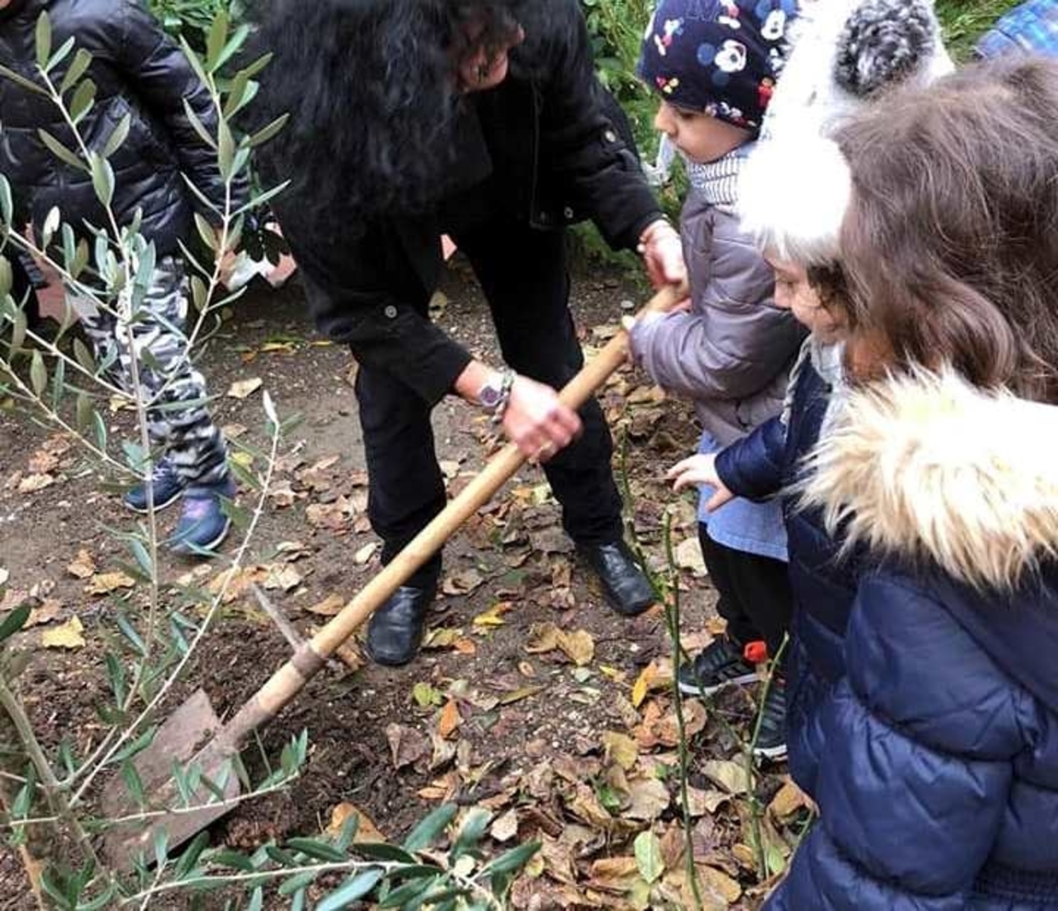 foggia-ulivi-scuole(1)