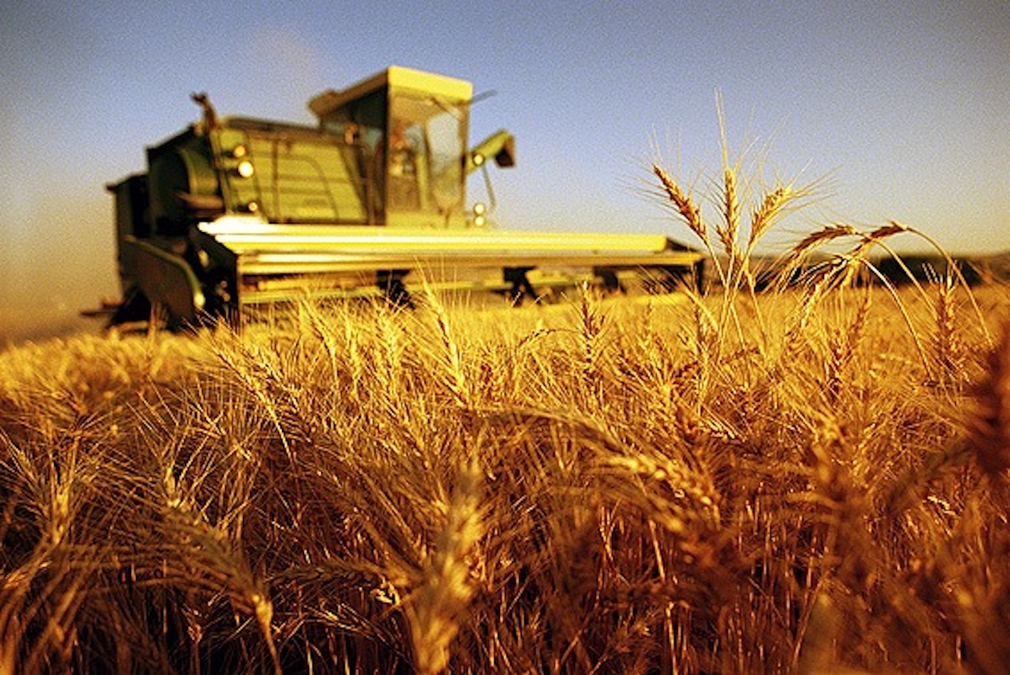 agricoltura-puglia