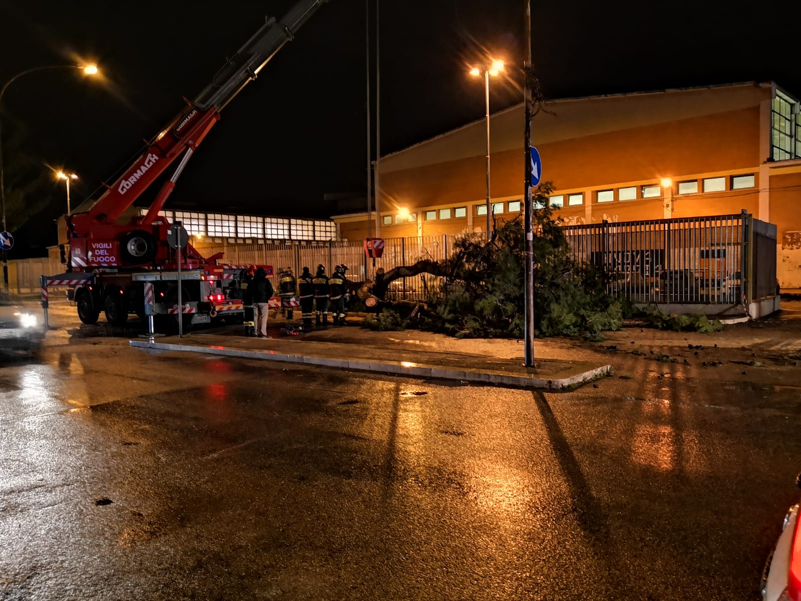 albero caduto via guido dorso