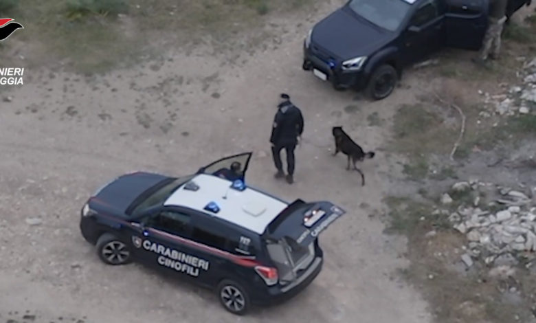 carabinieri foggia