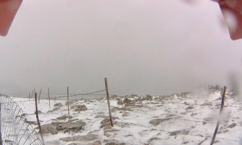 neve gargano