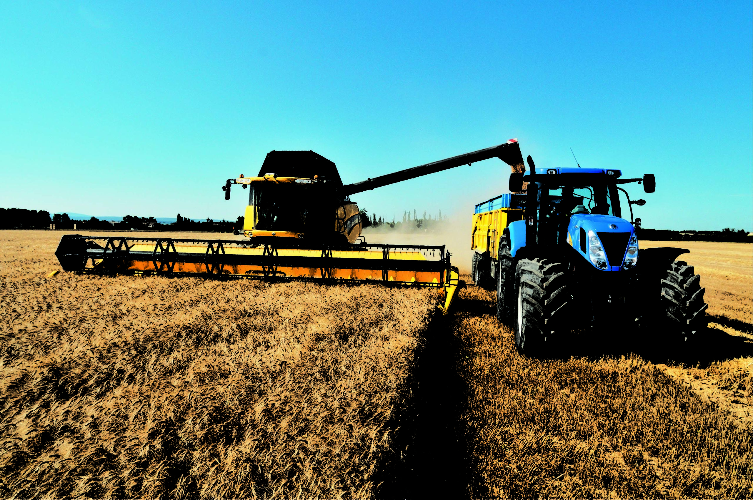 Agricoltura-puglia-covid