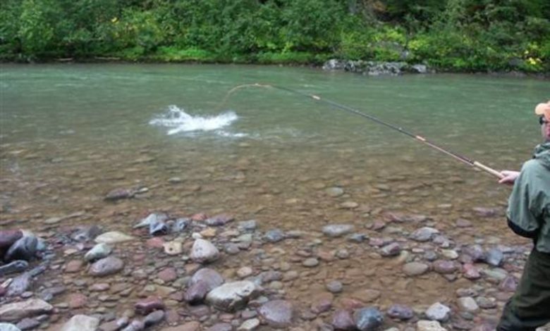 carapelle-pesca-torrente