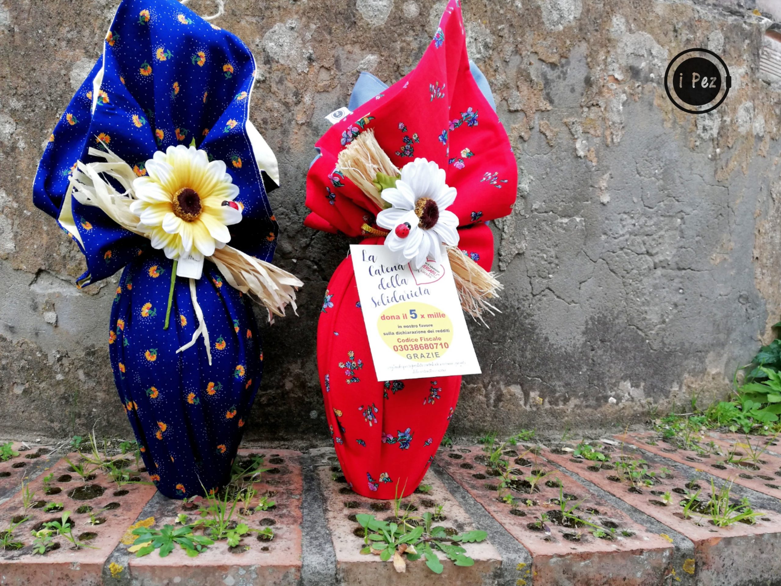 foggia uovo solidale