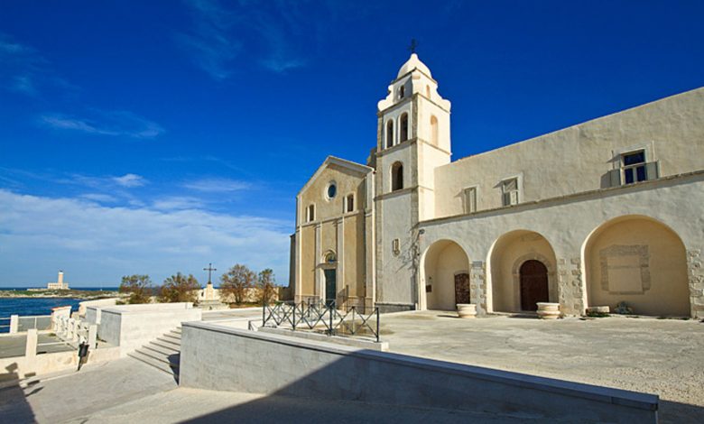 vieste-community-library