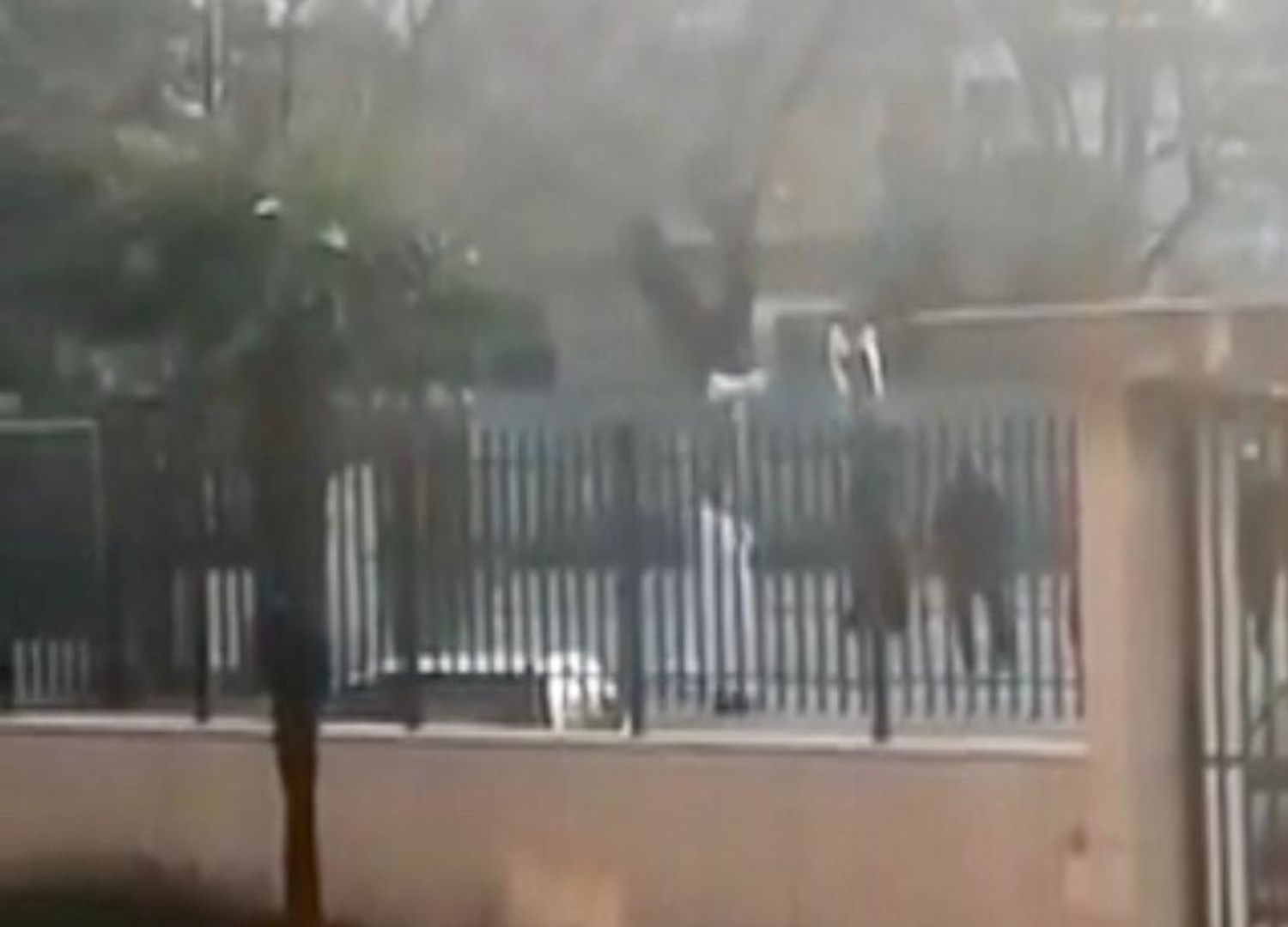 capitanata-covid-via-crucis