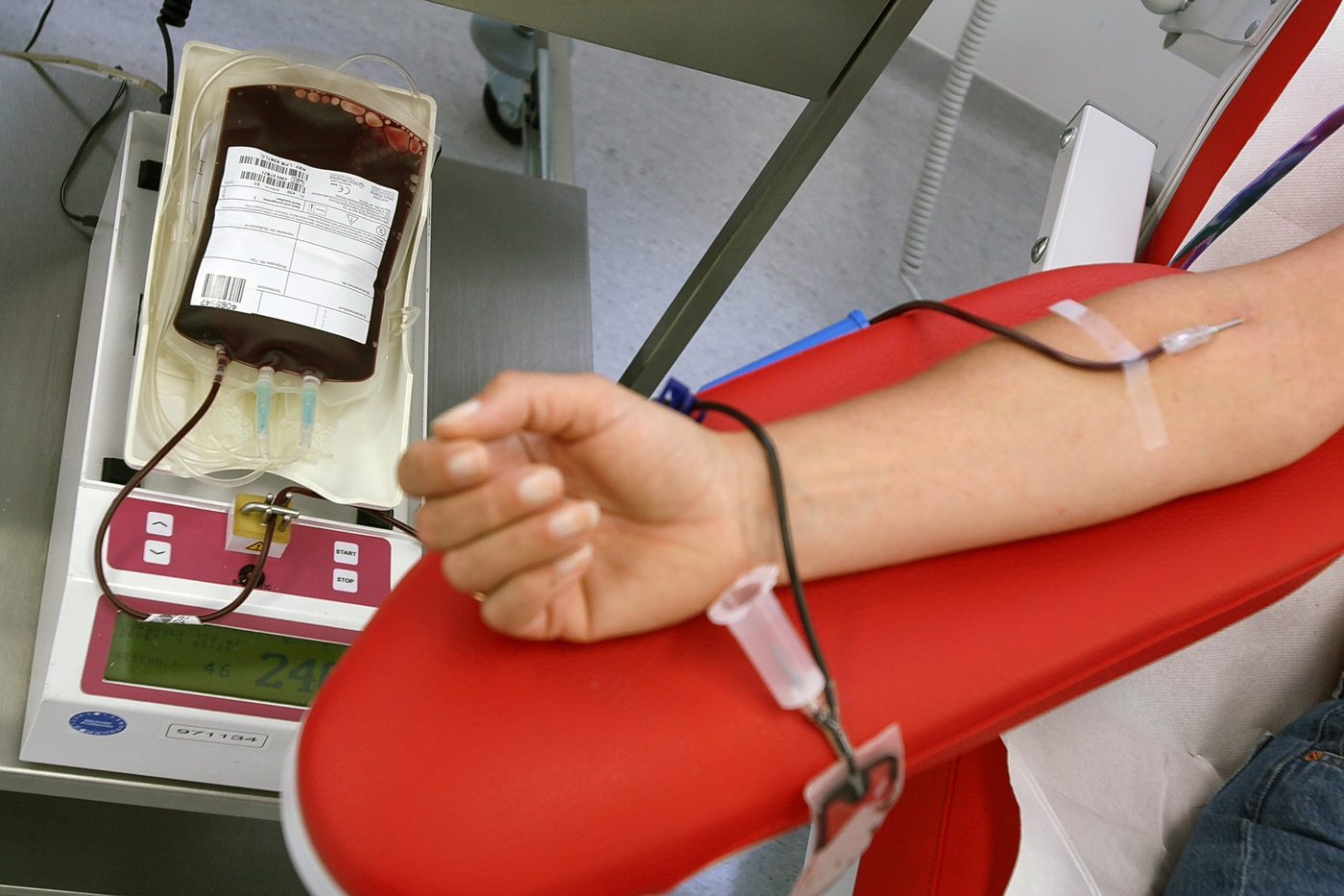 donazione-sangue-foggia
