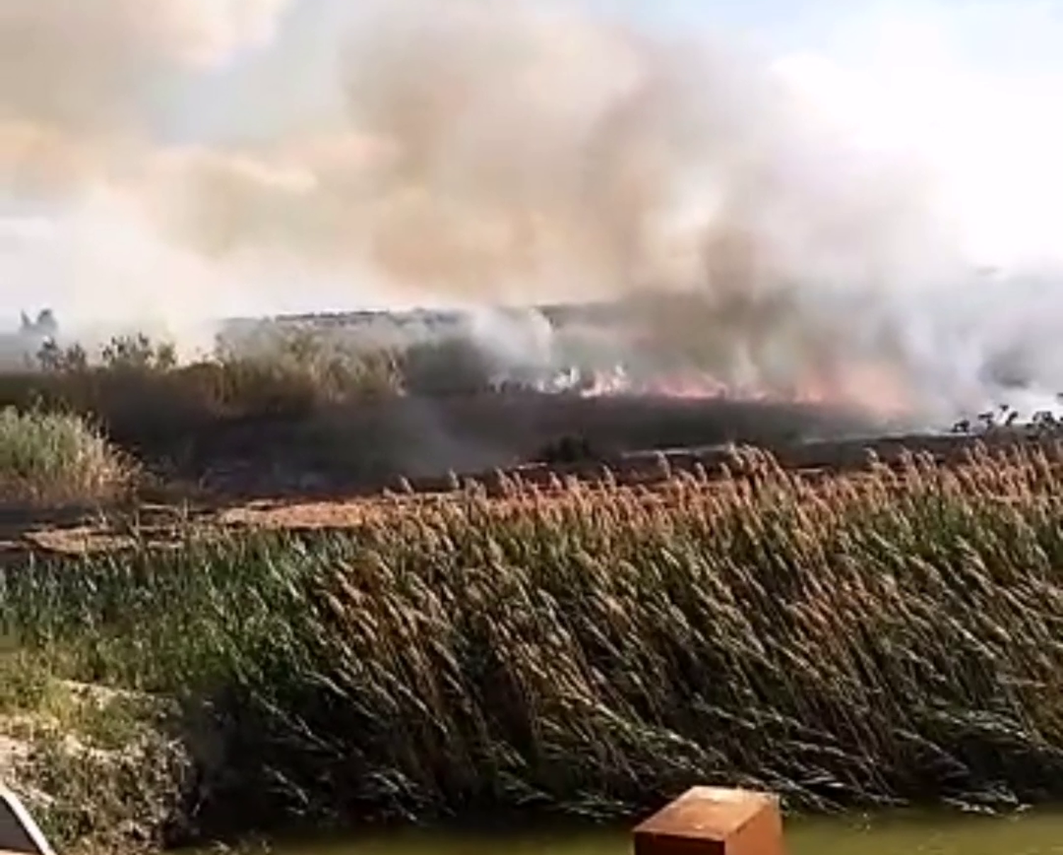 incendio-manfredonia