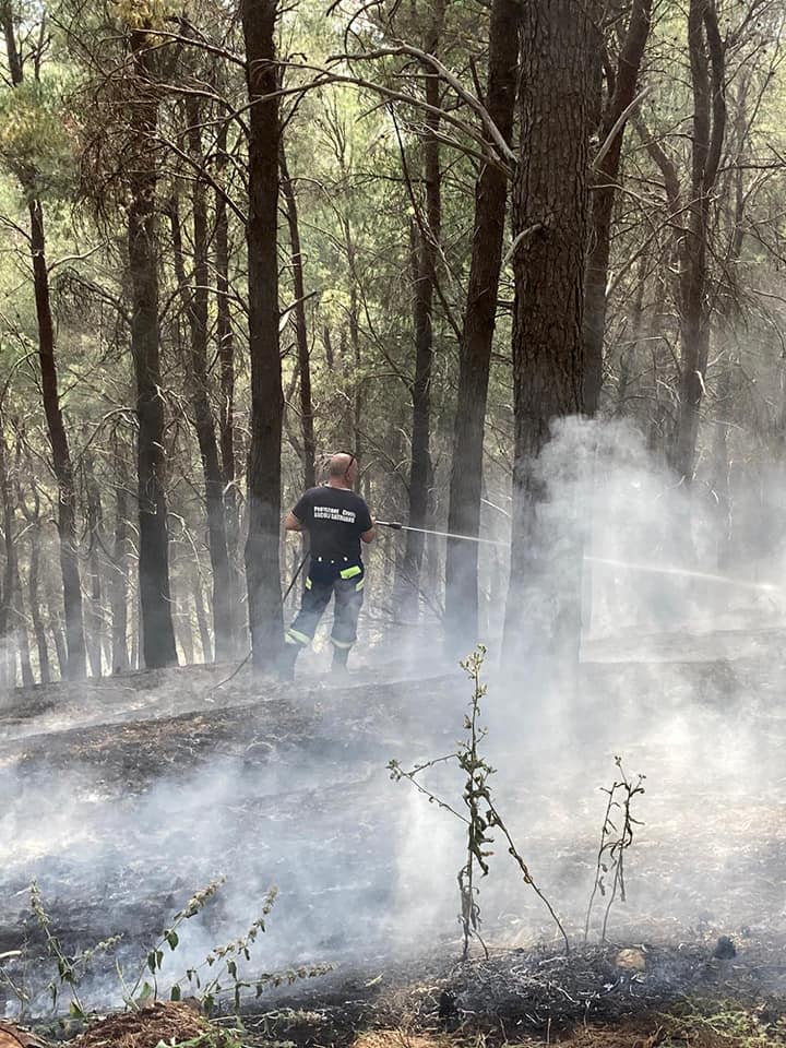 incendio bosco