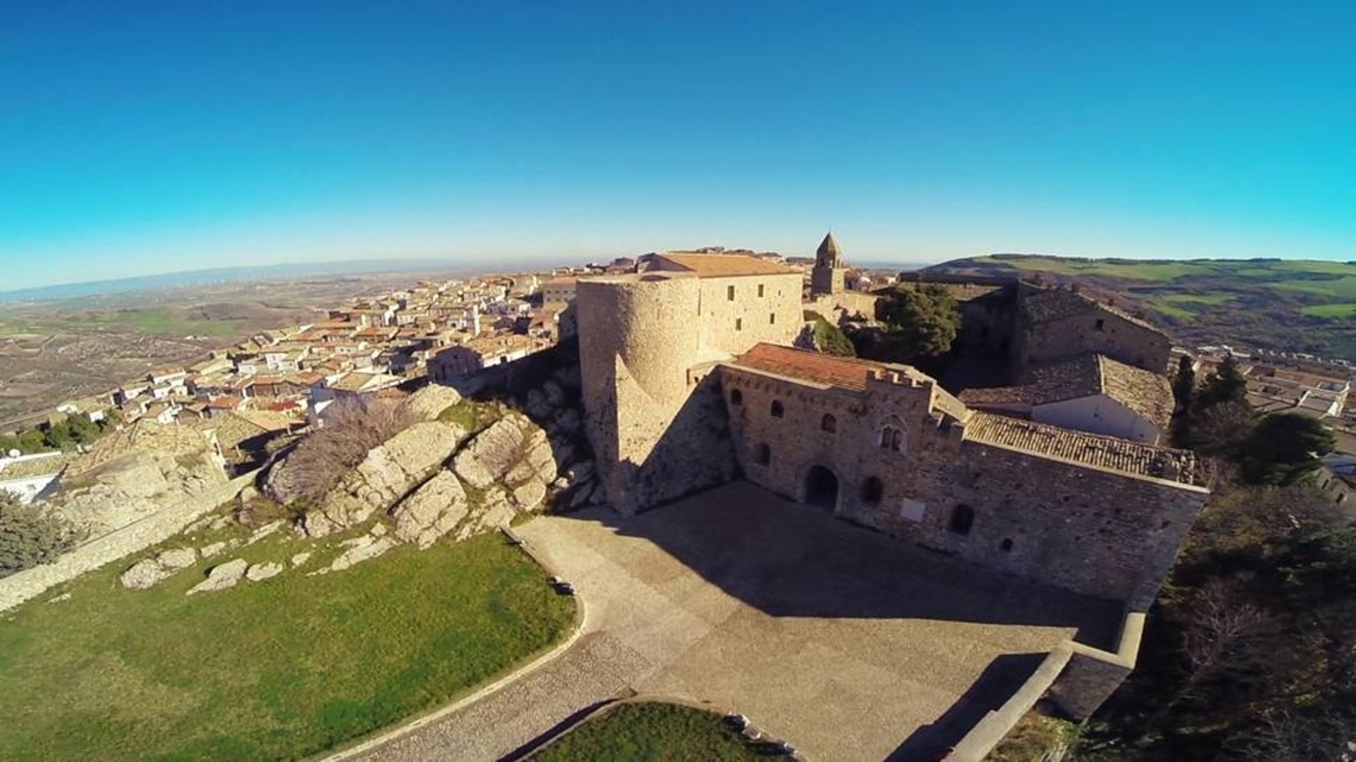 bovino(3)