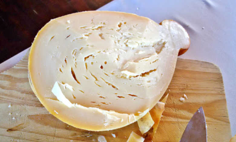 caciocavallo-podolico