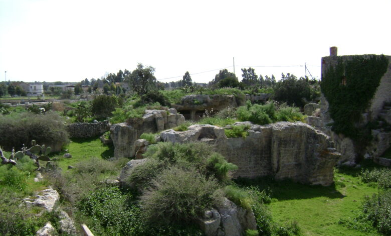 capparelli