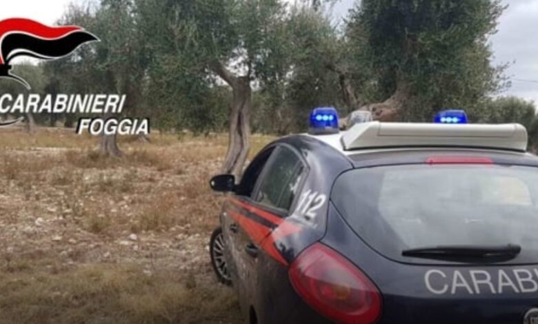 san giovanni rotondo campagne arresto