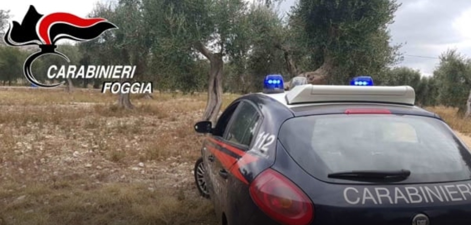 san giovanni rotondo campagne arresto
