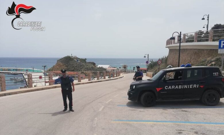 movida sicura gargano