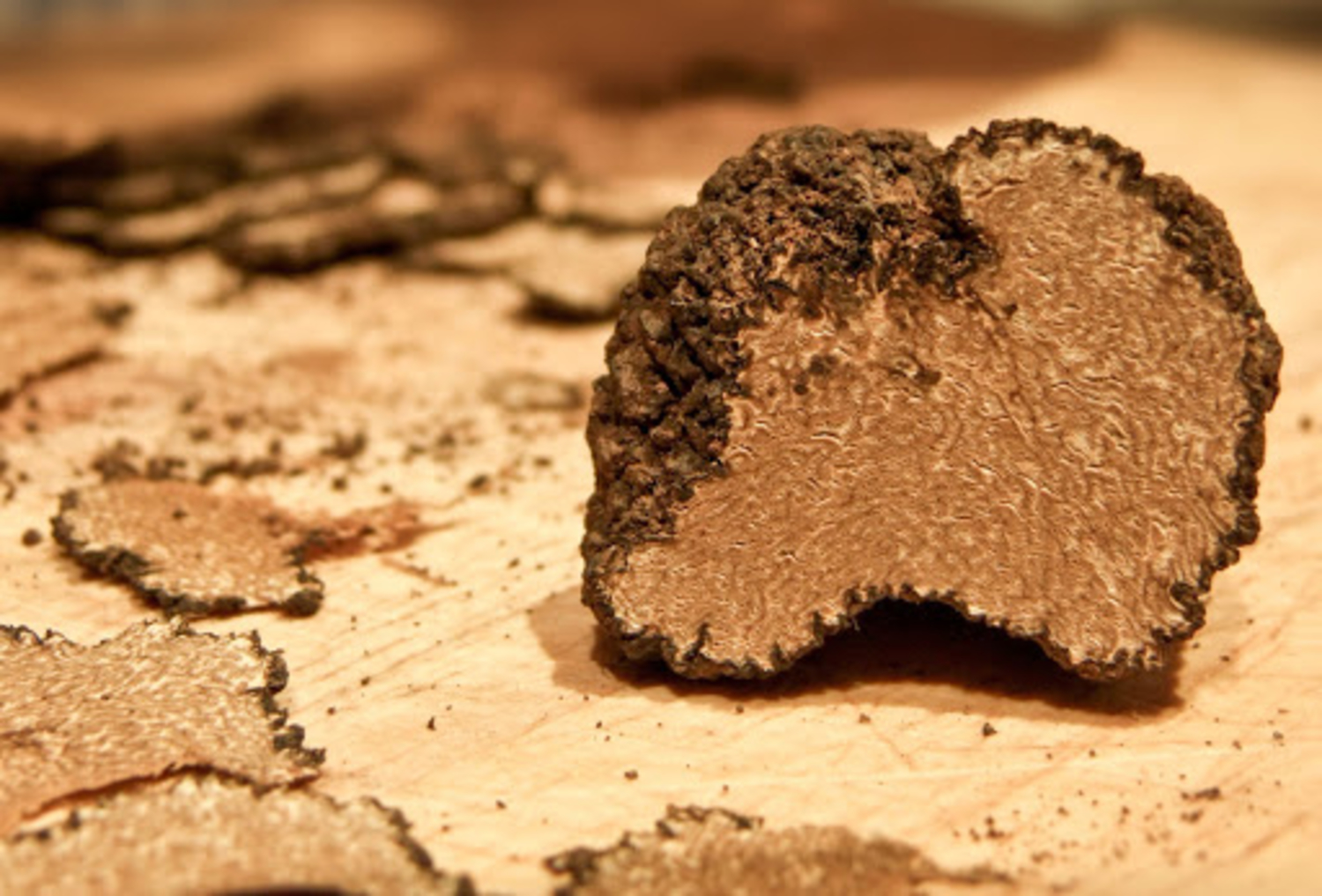 sagra-tartufo-roseto