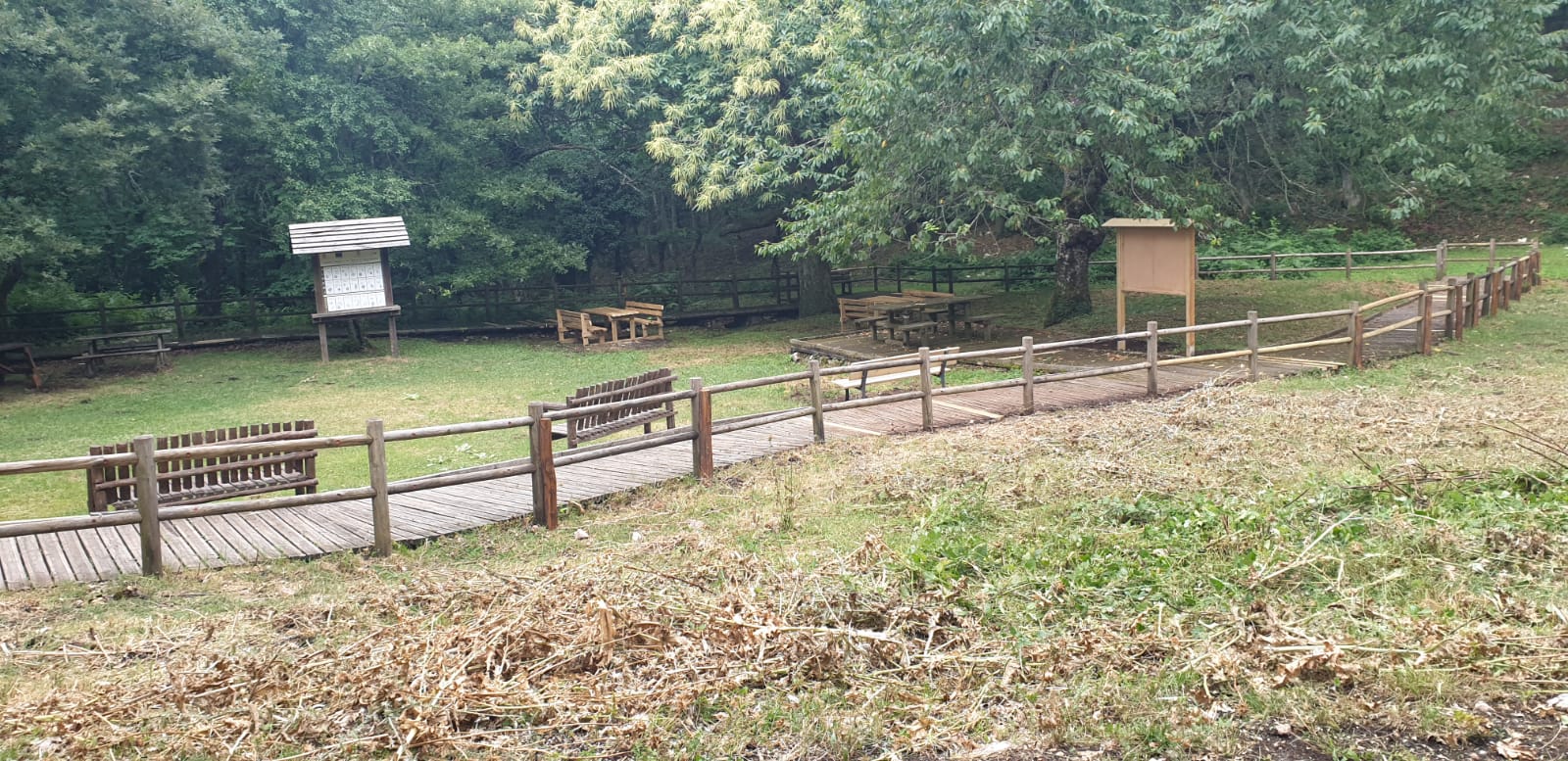 boschi san giovanni rotondo