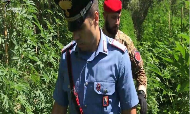 carabinieri-vico-del-gargano