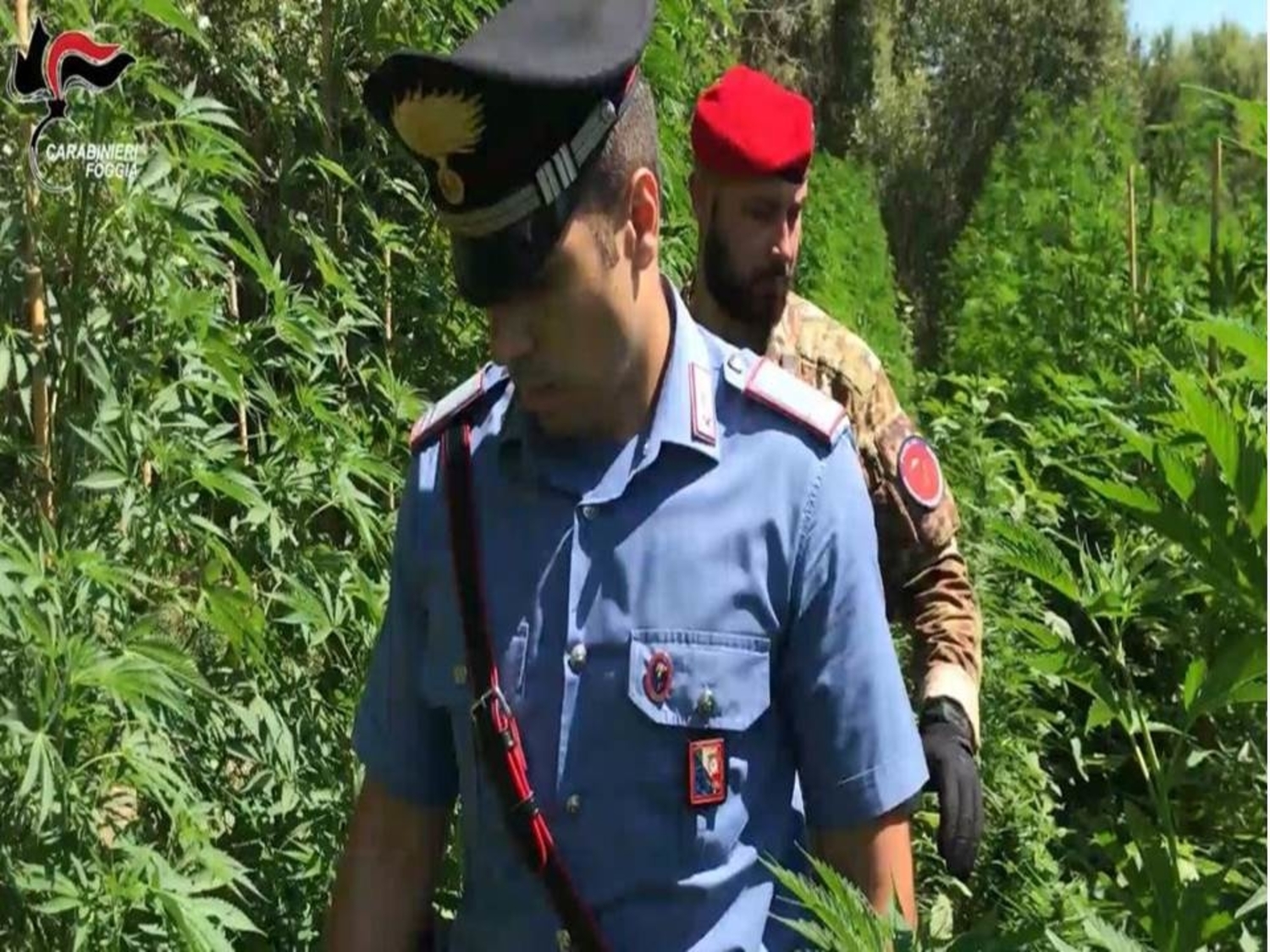 carabinieri-vico-del-gargano