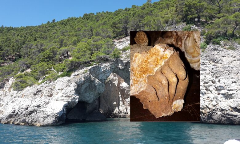 gargano-asportato-fossile