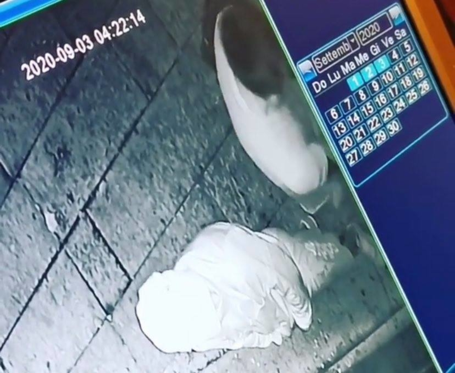 foggia-sartoria-del-gusto