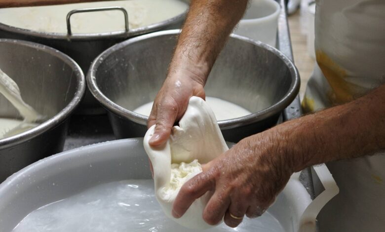 Caseificio-puglia