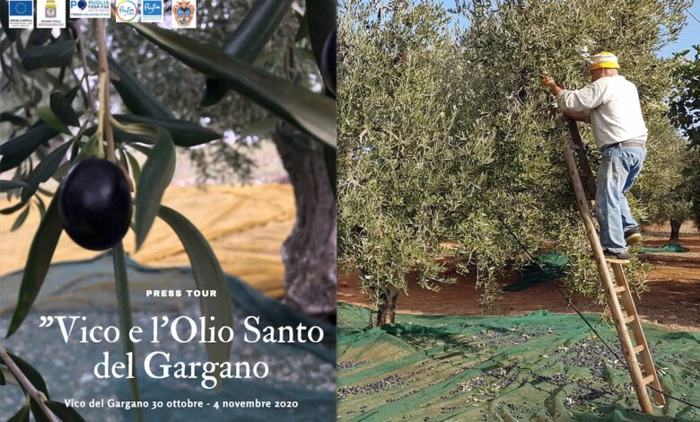 Vico olio