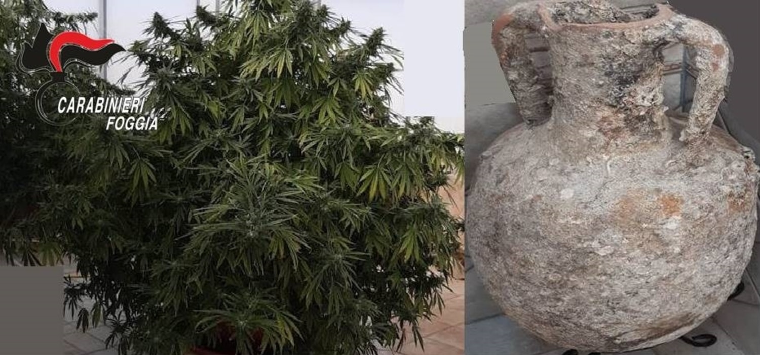 carabinieri-manfredonia(2)