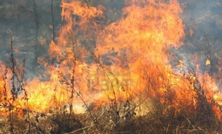 incendio
