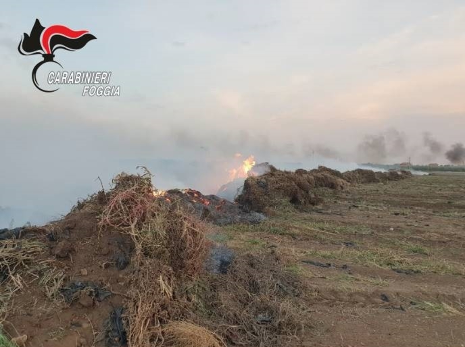 stornarella-roghi-rifiuti
