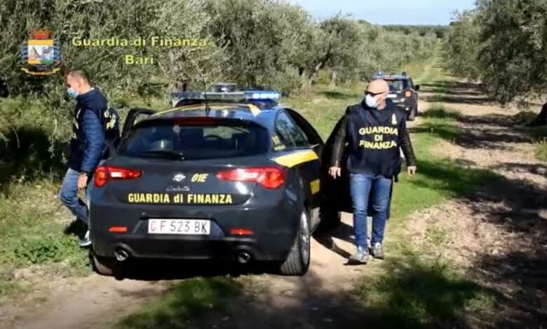 foggia truffa inps