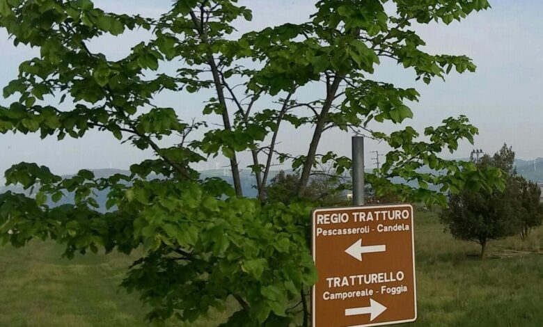 fototrappole
