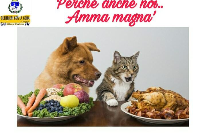 cani