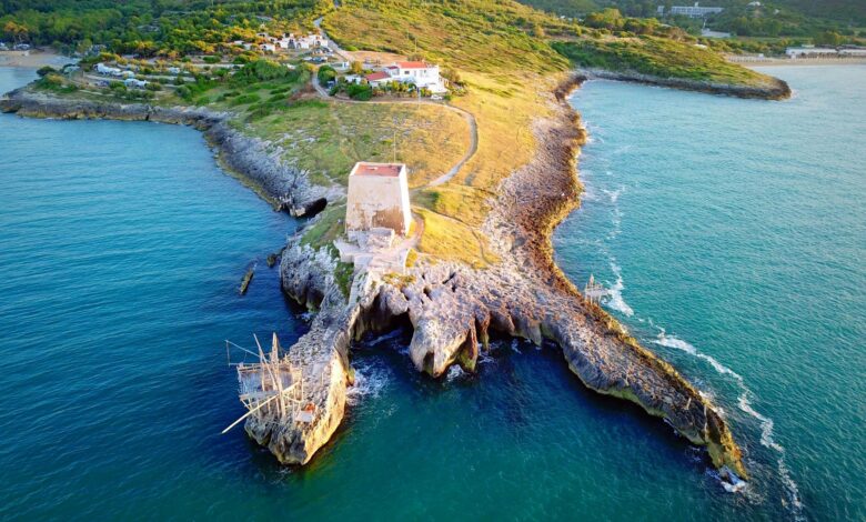 gargano film