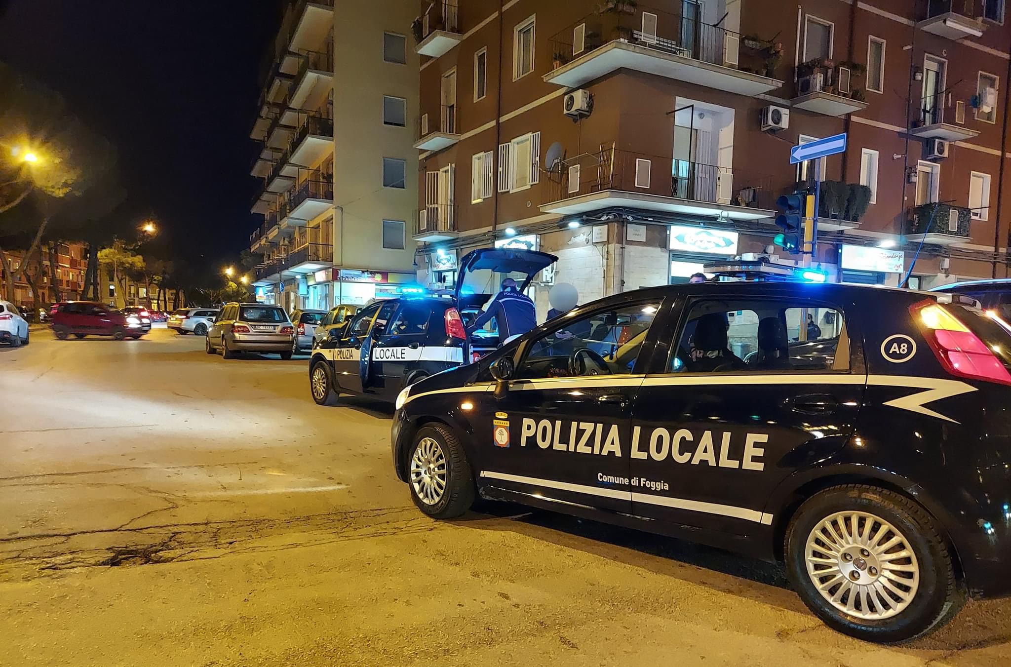 foggia donna investita