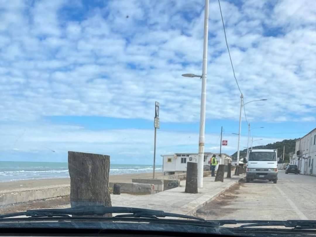 WWF gargano tamerici