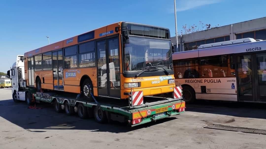 bus foggia