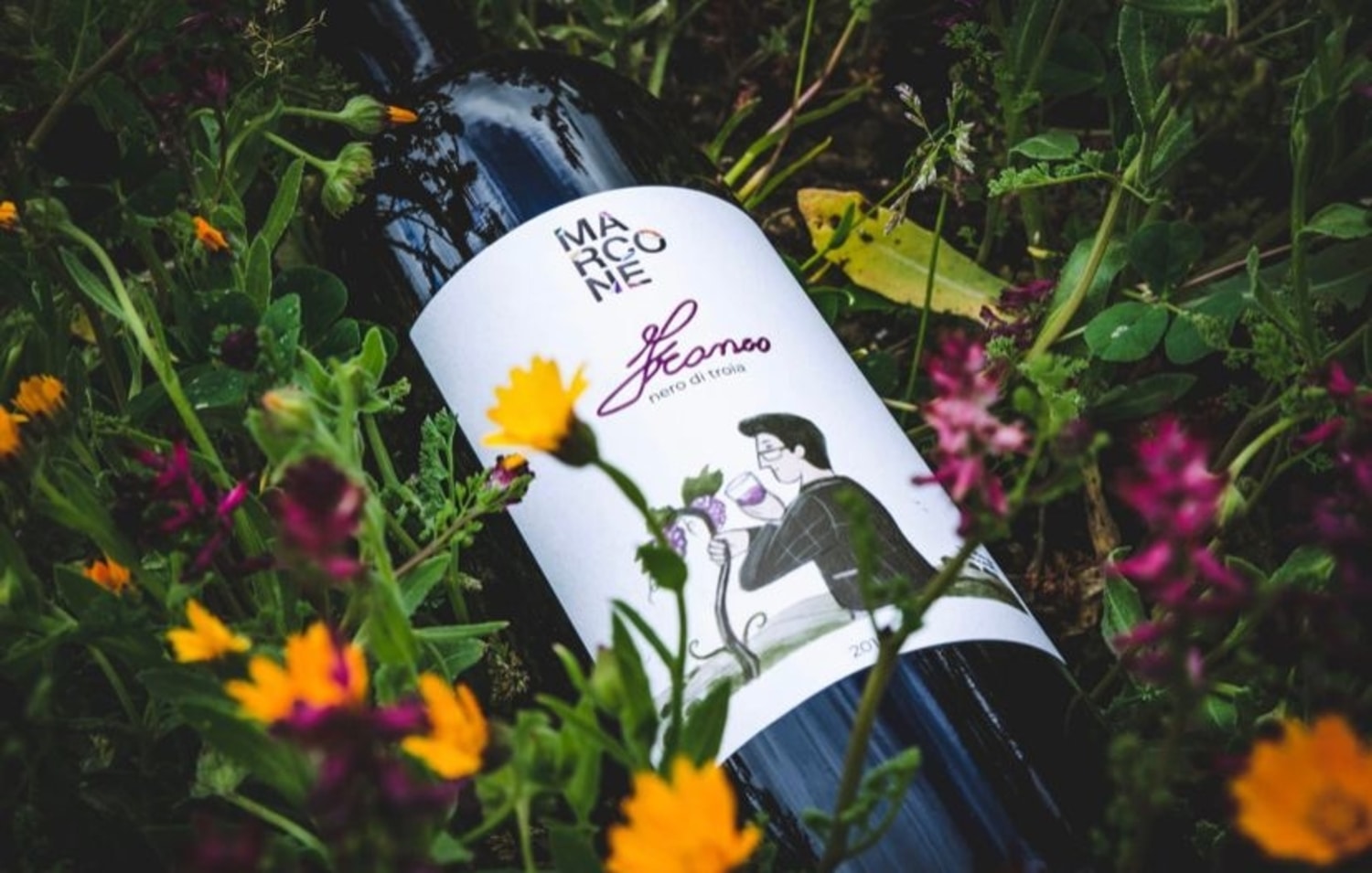 vino francesco marcone