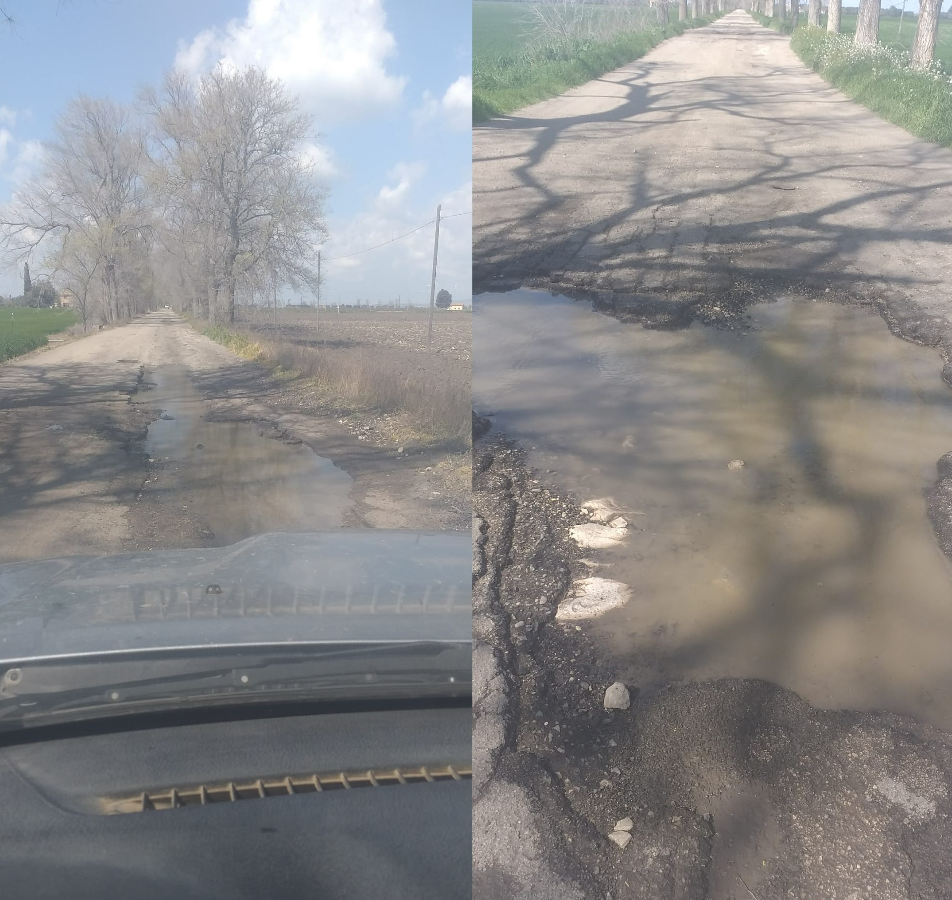 strade provinciali capitanata