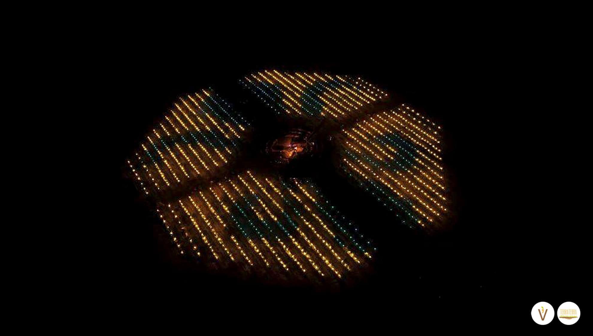 vigneto federico II foggia