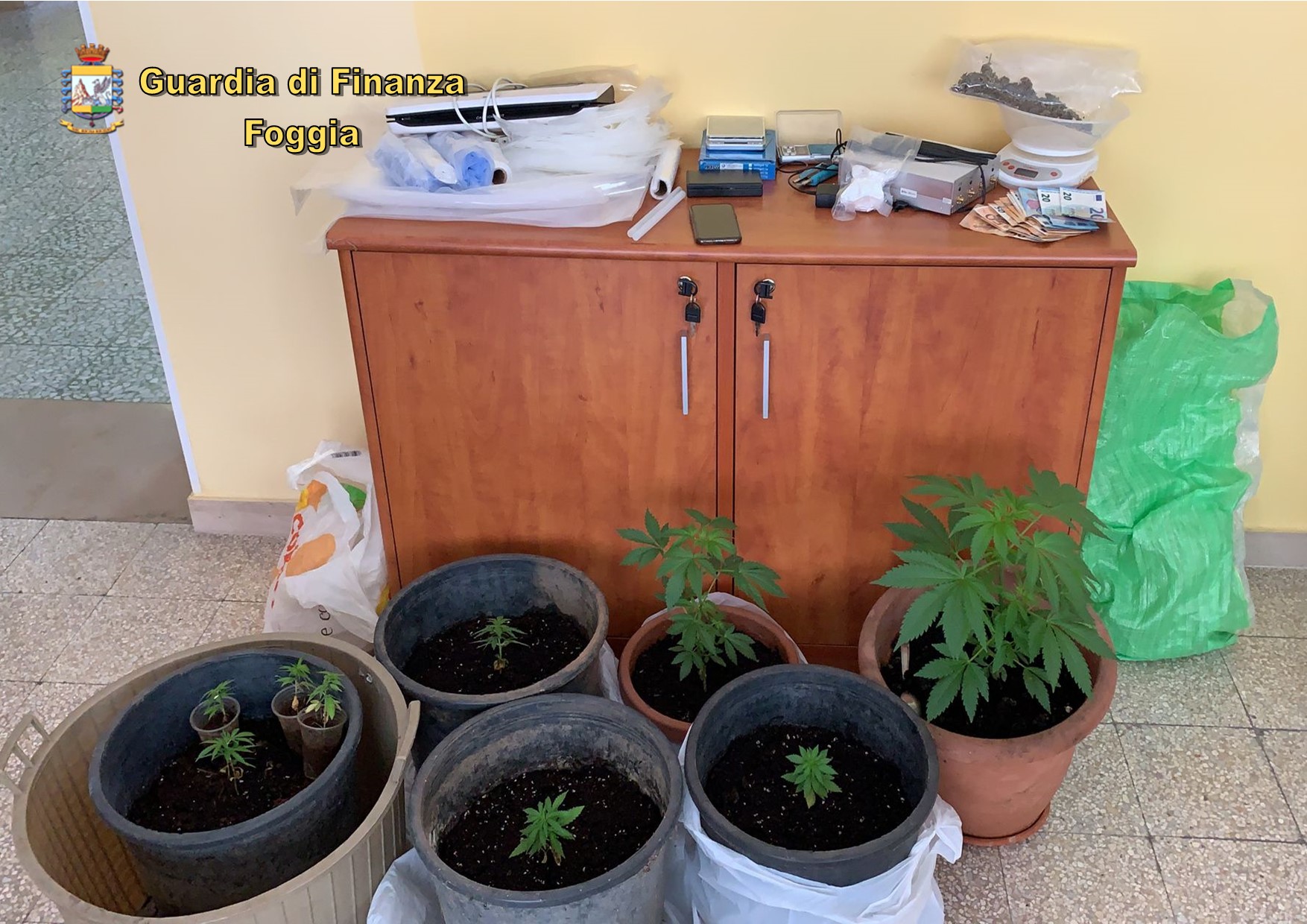 droga arresto commerciante gargano