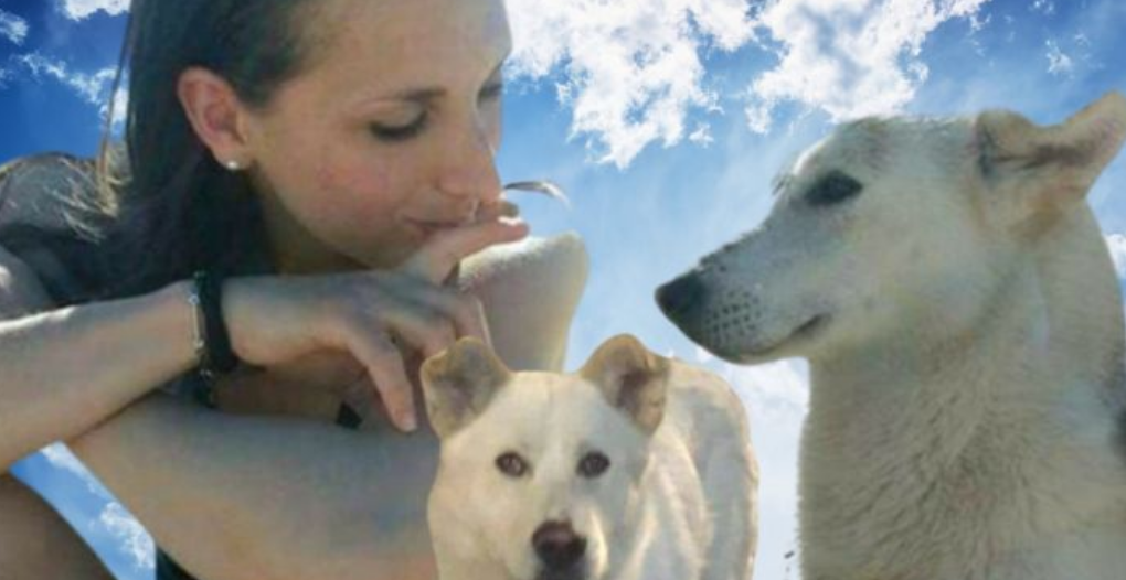 dalila iafelice oasi animali