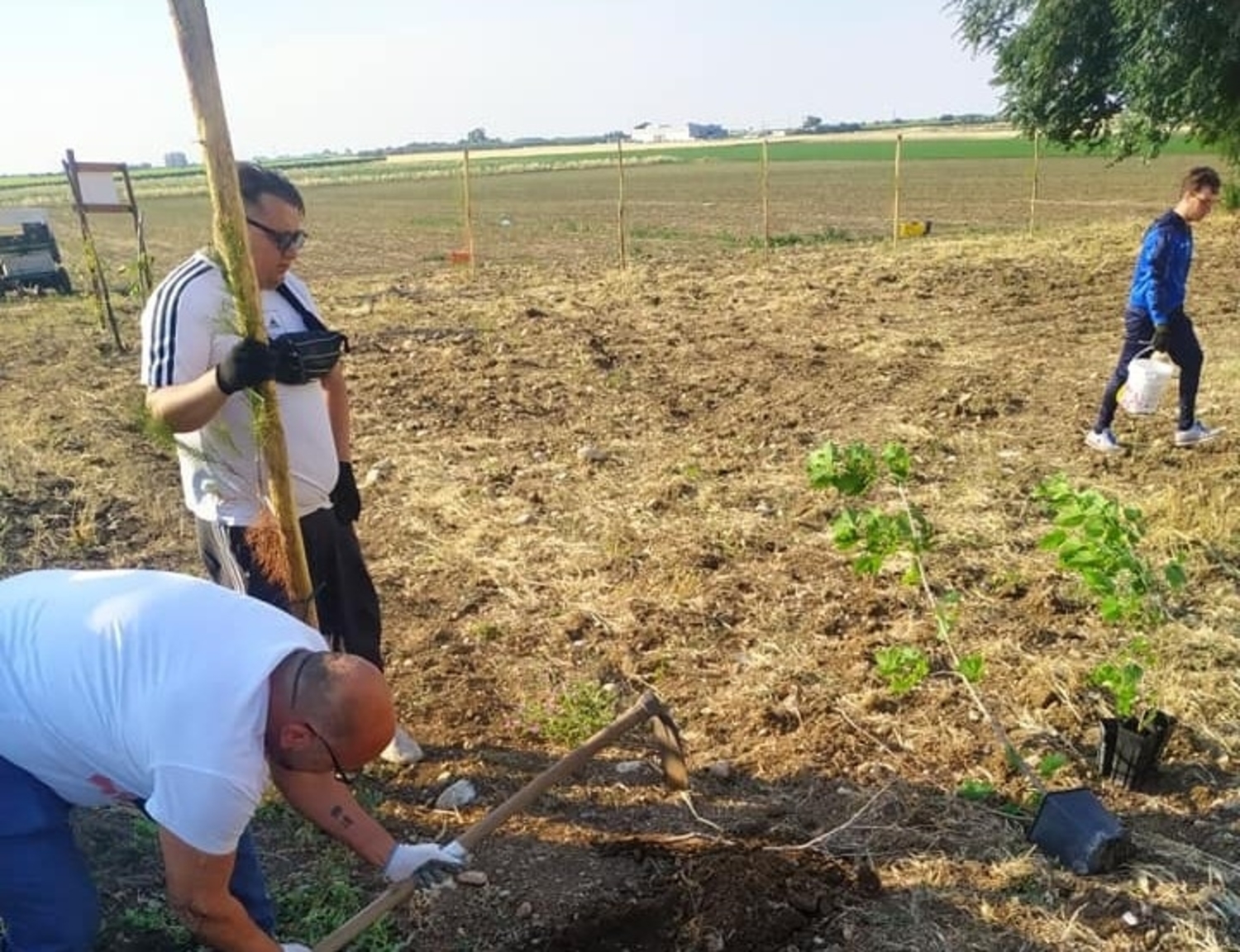 bene confiscato mafia cerignola