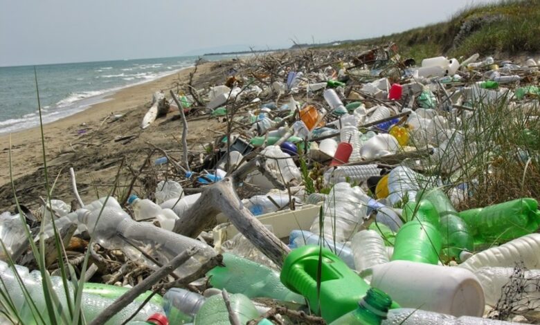 Manfredonia, WWF Tour Plastic Free “Missione Spiagge Pulite 2021”: una  giornata di pulizia per la salute del mare – Foggia Reporter