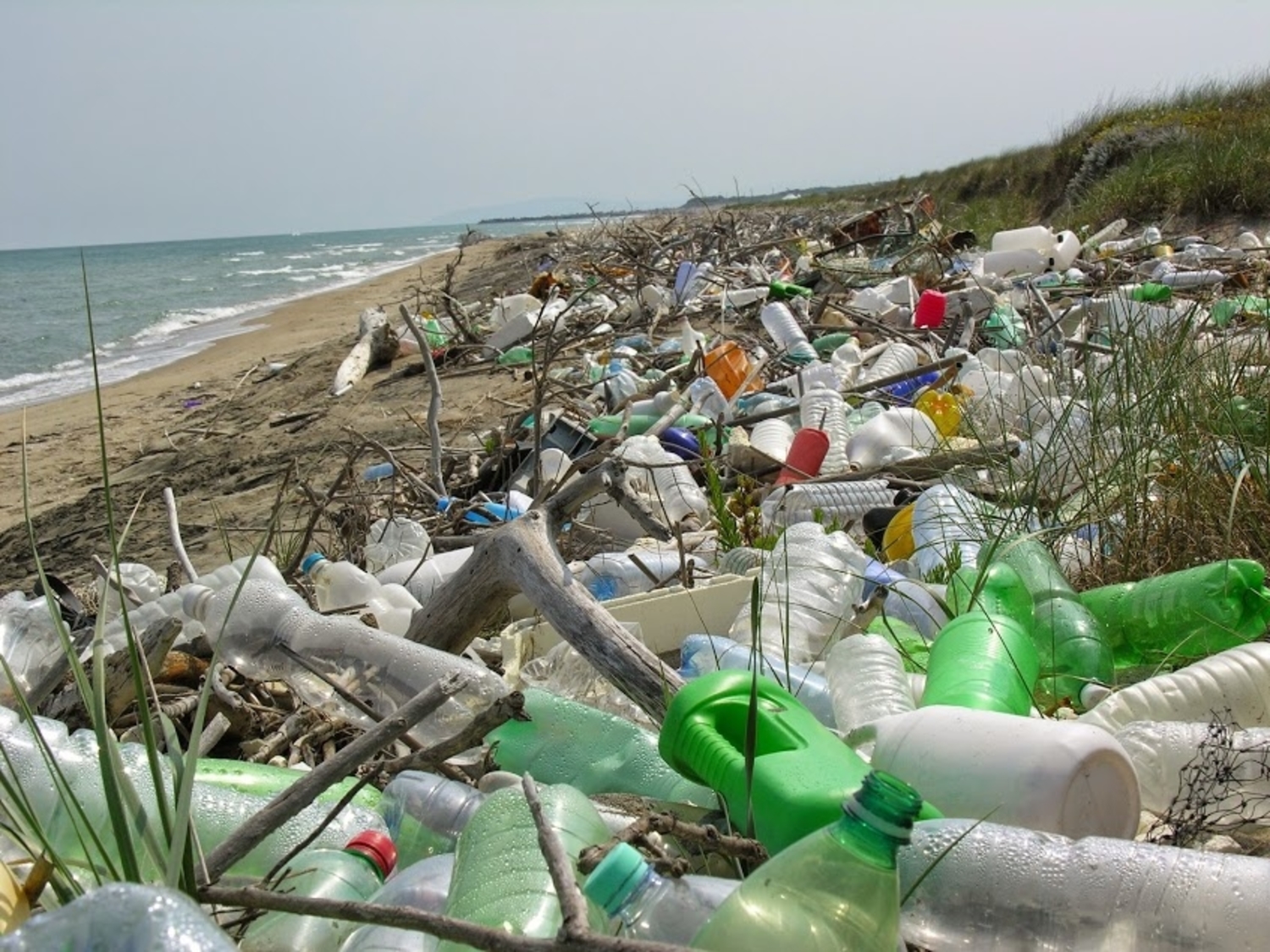 wwf rifiuti manfredonia