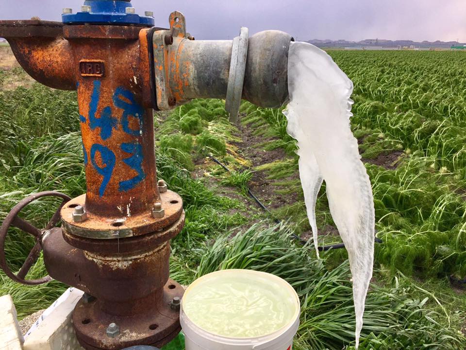 gelate 2018 acqua e campi Capitanata
